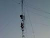 img01893-20120812-1718