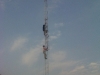 img01933-20120831-1603
