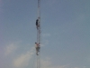 img01935-20120831-1604