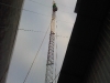 img02046-20121004-1635