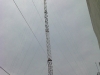 img02163-20121102-1109