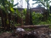 img02166-20121104-0843