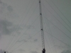 img02383-20130311-1612